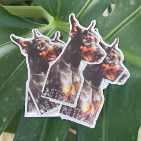 Custom Matte Stickers / Decals